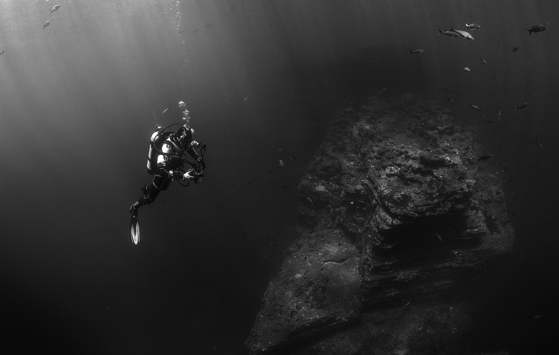 DIVER 3